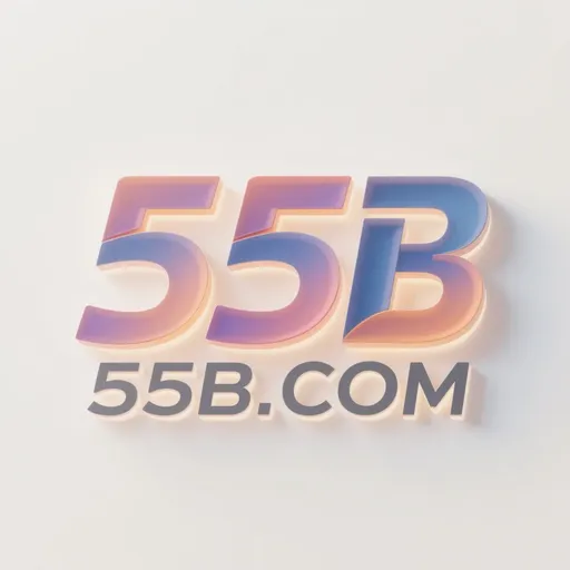 55b.com